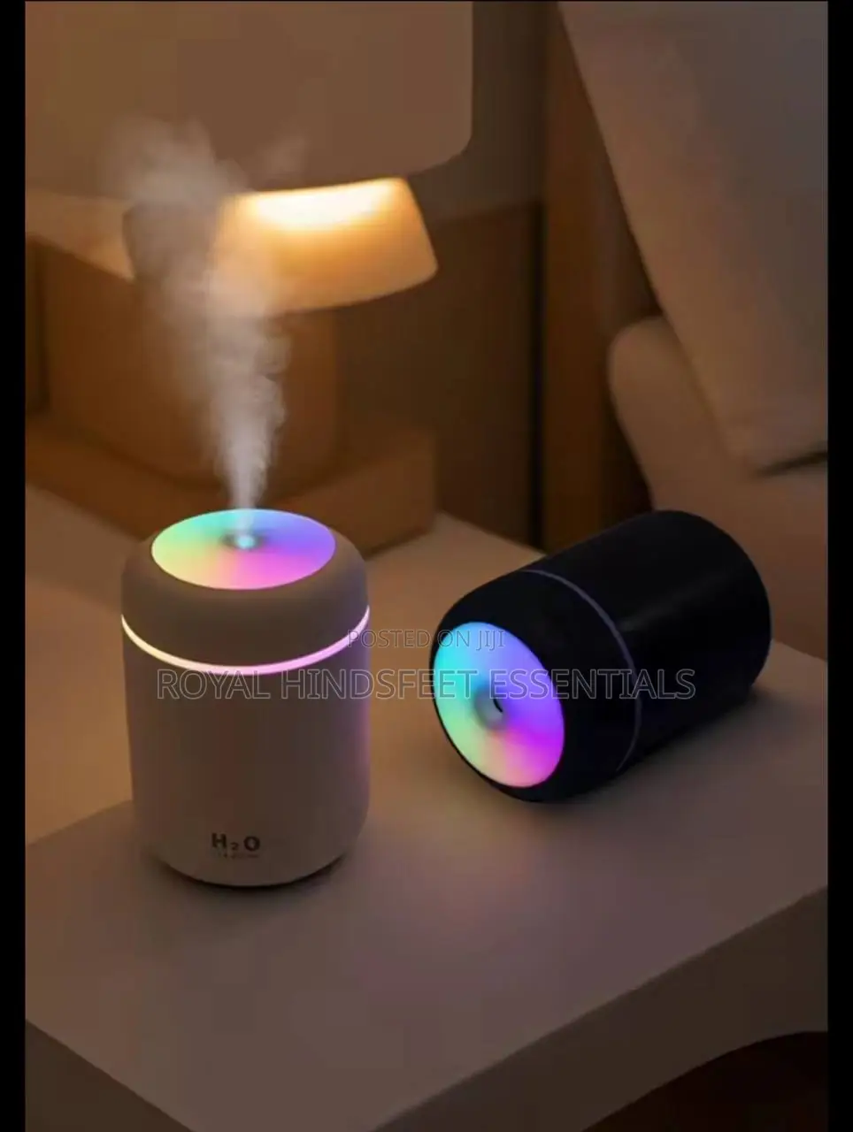 Aromatherapy Diffuser Humidifier Air Purifier