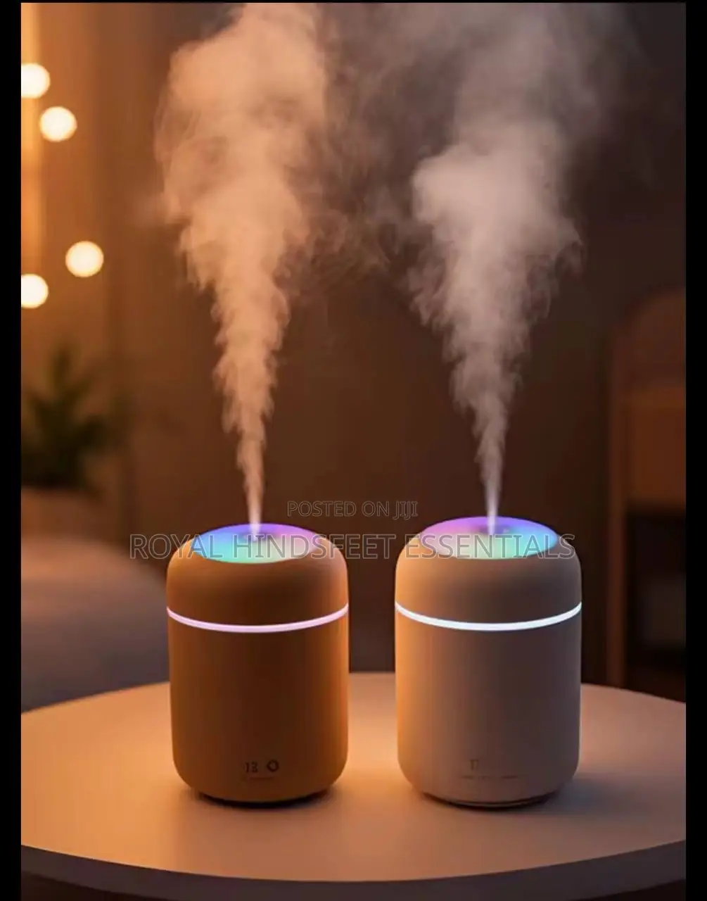 Aromatherapy Diffuser Humidifier Air Purifier