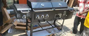 Industrial Gas and Charcoal Barbecue Machine