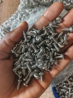 Stainless Tapping Screws 304 Grade