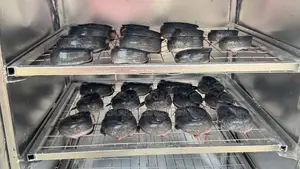 Freshly Smoke Catfish