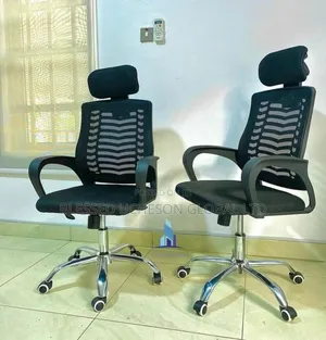 Office Net Chair