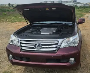 Lexus GX 460 2010 Burgundy