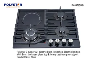 Polyester Cabinet Gas Cooker