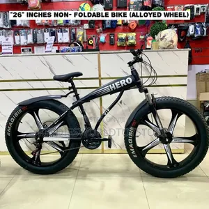 Adult Big Tyre Bike
