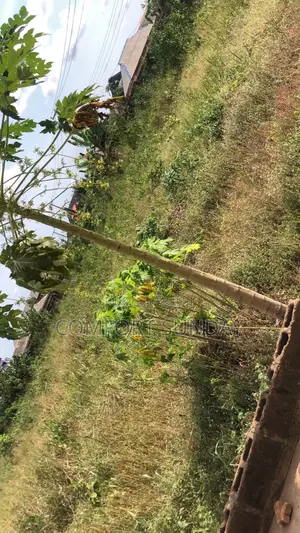 Land Property