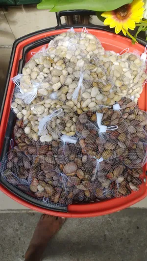 Pebbles Stone for Home and Garden Design