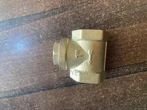 1niches Brass Non-Return Valve