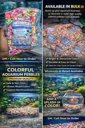 Aquarium Rainbow Pebbles
