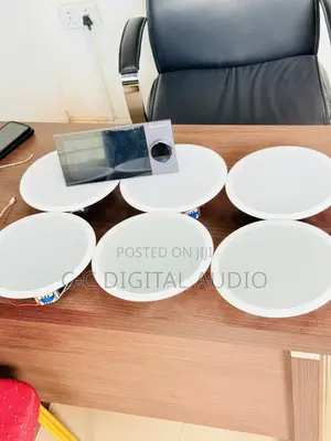 Smart Ceiling Speaker Set Up