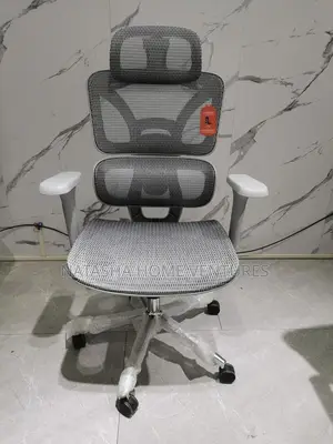 Ergonomic Mesh Office Chair