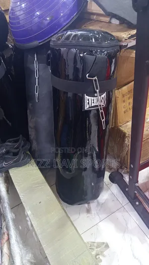 Punching Bag Everlast