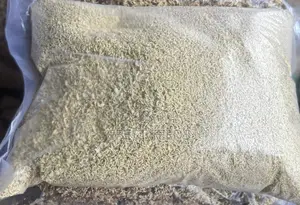 Unmixed Dog Indomine