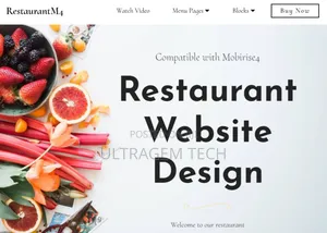 Best Restaurant Website Design