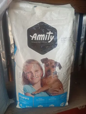 Amity Puppy