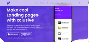 Website Developer