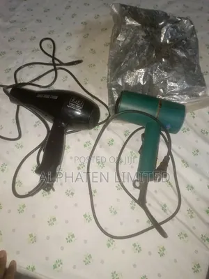 Professional Hair Dryer