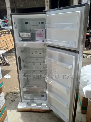 308 Liters Lg Inverter Double Door Refrigerator With 2 Years Warranty
