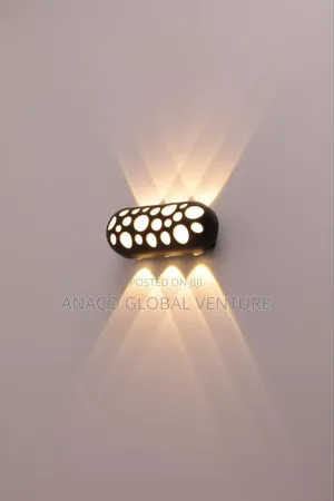 Wall Mounted Led Light Indoor and Outdoor Black Body