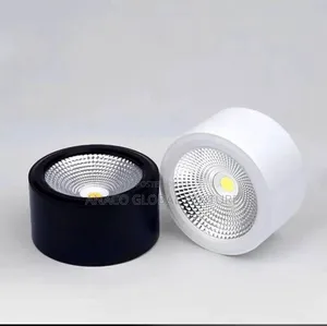 Led Down Light for Cantilever Black and White Body