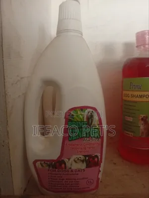 Prime Senator Shampoo