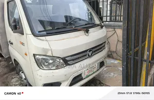 Foton 2010 White