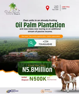 Oil Palm Plantation
