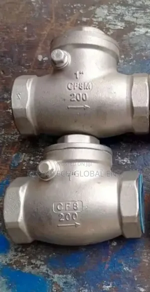 Stainless Non Return Valve