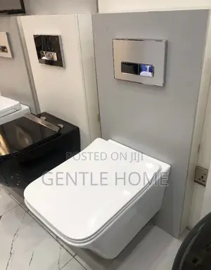 White Conceal Water Closet (Wc)