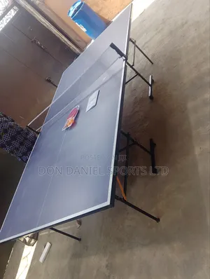 Indoor Striker Butterfly Table Tennis