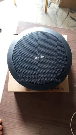 Original Tundra Black Passive Ceiling Speaker for Pop