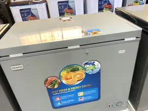 Polystar Pv-Cf322gl Freezer – Ideal for Business