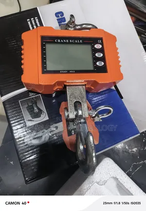 Crane 500kg Digital Hanging Scale