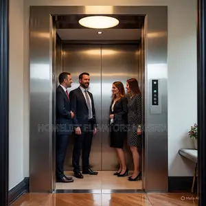 Commercial Home 4 People 400kg Elevator