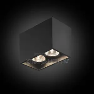 Double Luxurious Surface Light