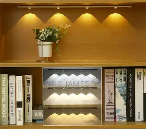 Motion Sensor Wardrobe and Cabinet Light