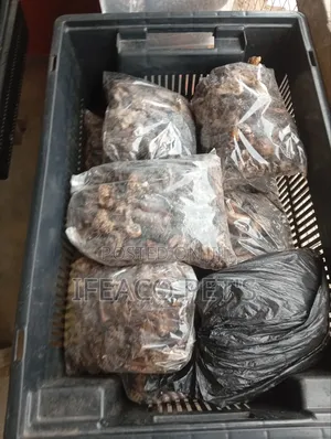 Dry Meat for Dogs 