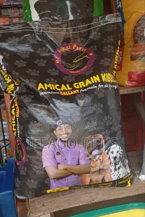 Amical Gallant