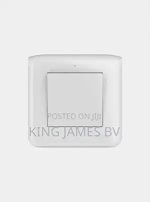 White Switches and Socket