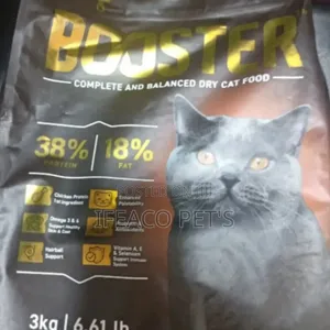 Booster Cat