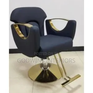 Unisex Salon Chair