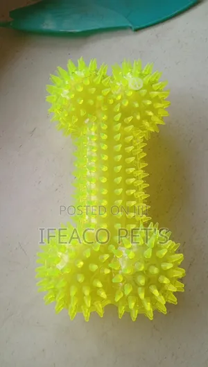 Bone Toys for Dog