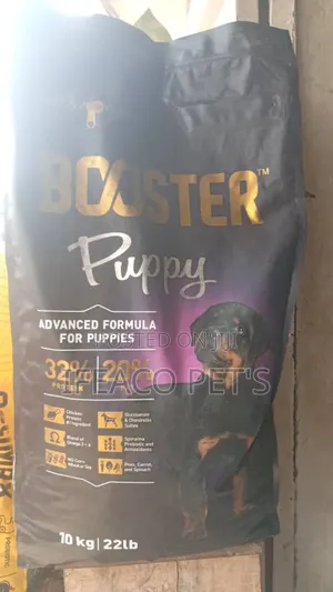 Booster Puppy