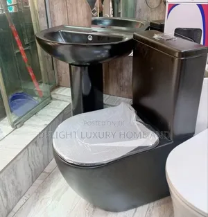 Black Wc With Basin and Pedestal