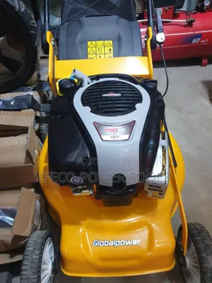 Globalpower Lawn Mower Equipped With a Briggs Stratton Engine