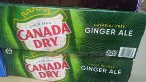 Canada Dry Ginger Ale Non Alcoholic Drink 33cl ×24 Packs