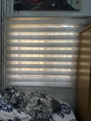 2 Window Blinds