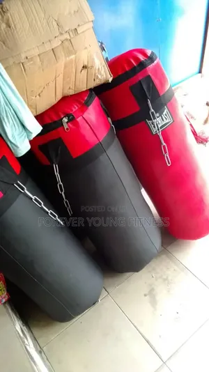 Boxing Punching Bag