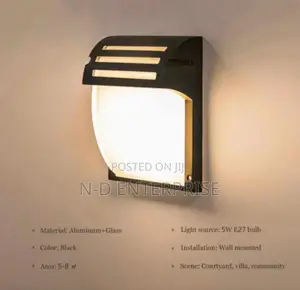 Fance Lights