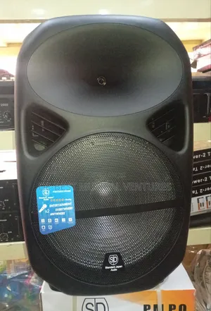 Standard Japan Audio 15inch Pa System